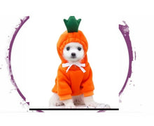 Load image into Gallery viewer, Hoodie - Fruit Theme
